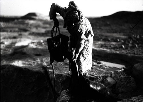 بادیه نشینان عربستان